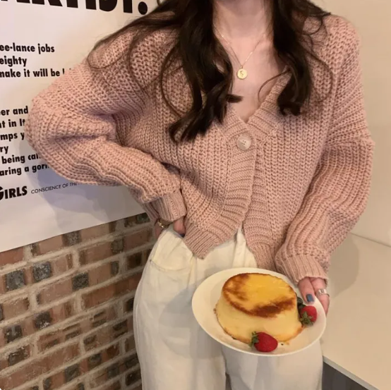 Women's Gentle Loose Knit Short Sweater