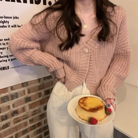 Women's Gentle Loose Knit Short Sweater