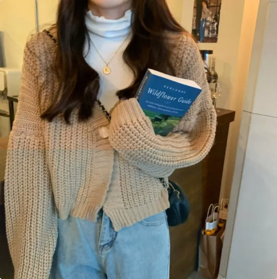 Women's Gentle Loose Knit Short Sweater